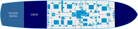 Apolon Haupt-Deck (1)