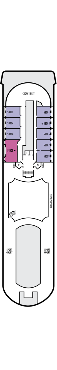 Prinsendam Sports deck