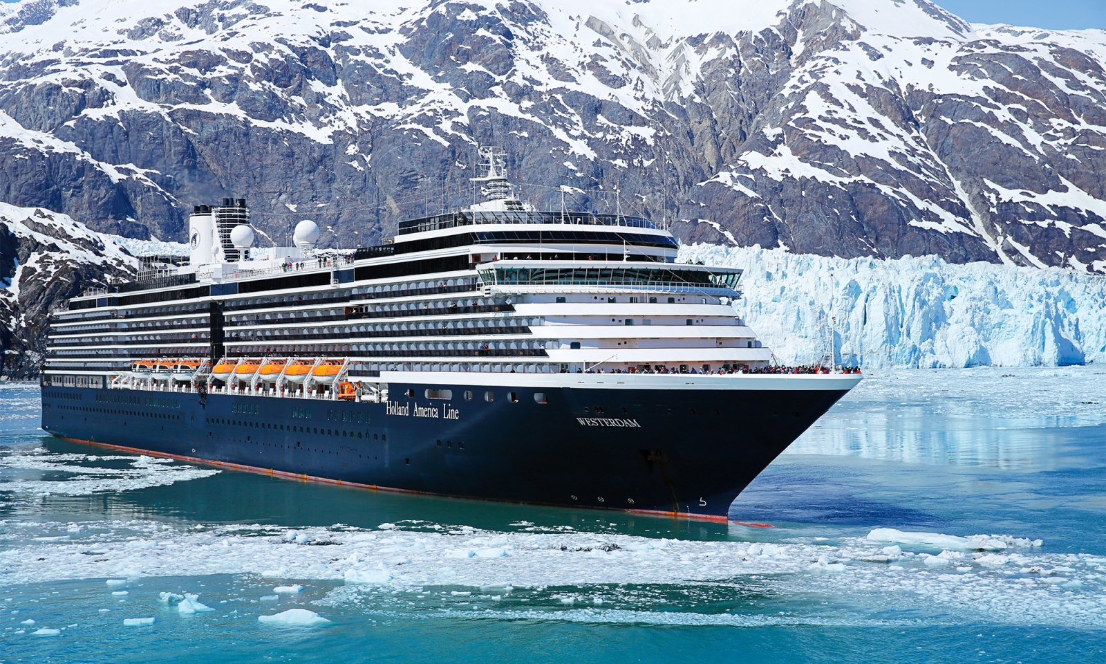 MS Westerdam Holland America Line