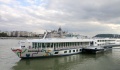 Crucebelle