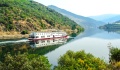 Douro Prince
